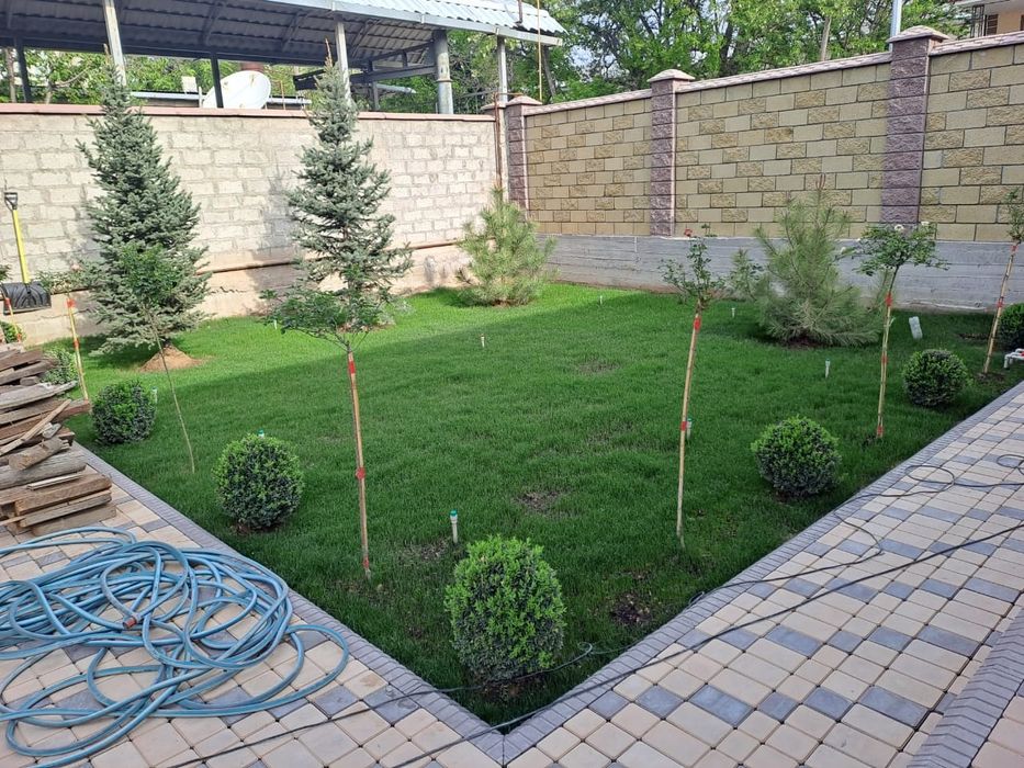 Посотка газона с поливом