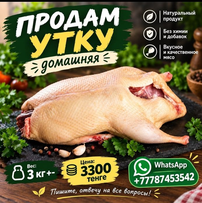 Продам домашнюю утку