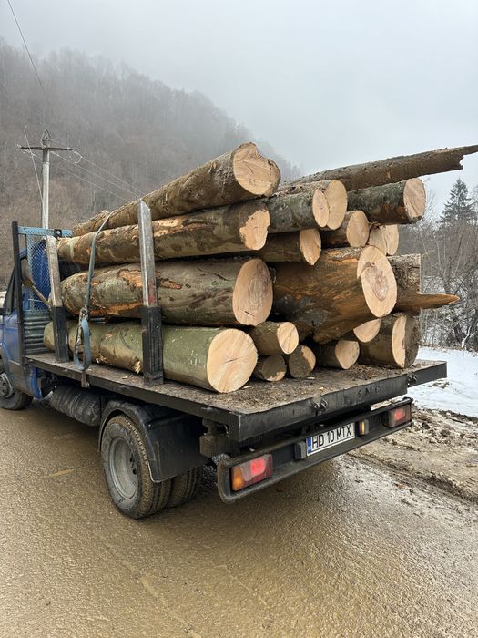 Lemne foc boci,3M,metru