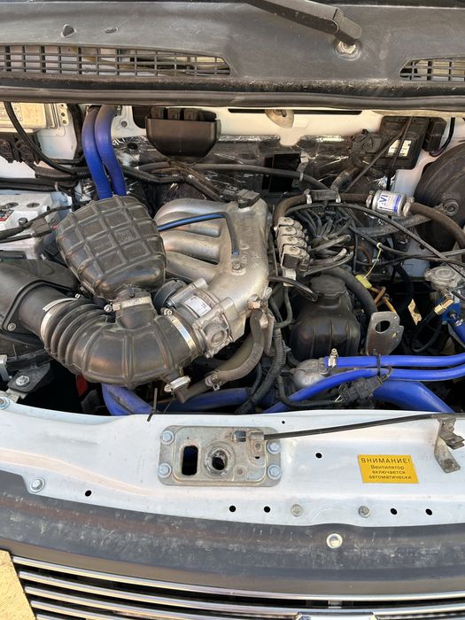 Газель өтте жағд