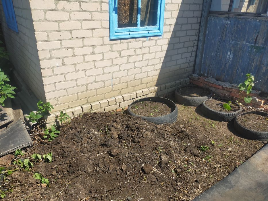 Продам две дачи раздельно