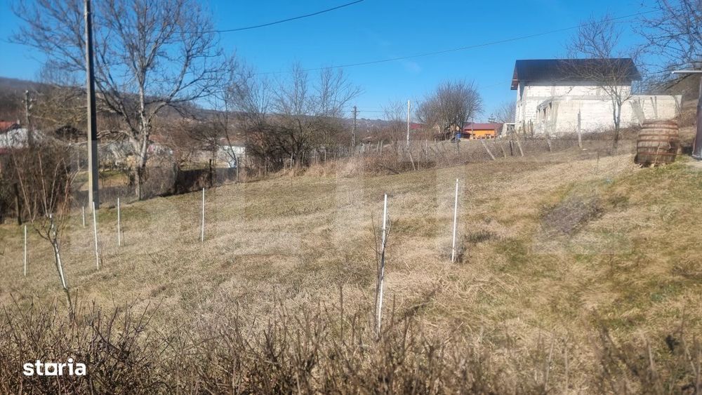Casa renovata plus teren 2000 mp ,VARBILA