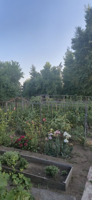 Продам дачу в садоводстве "Металлург"
