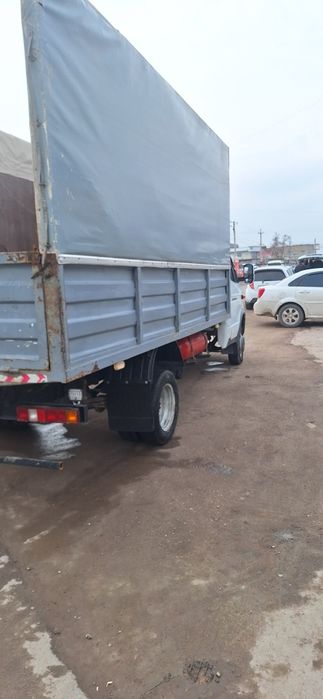 Gazel bartavoy Sotiladi srochna