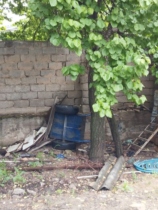 3 та Урик дарахт кимга керак булса кесиб олсин донасини нархи