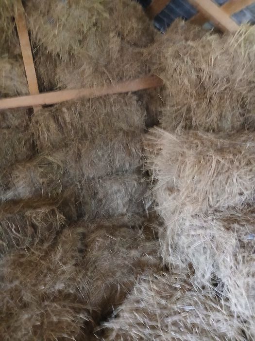 De vânzare baloți  paie ovăz și făn