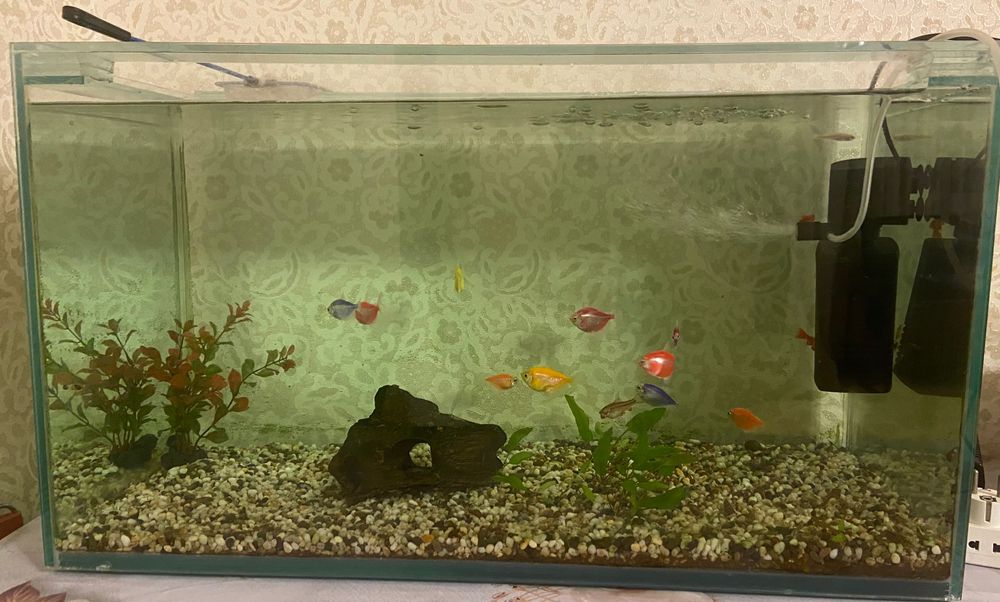 Аквариум 100л с рыбками