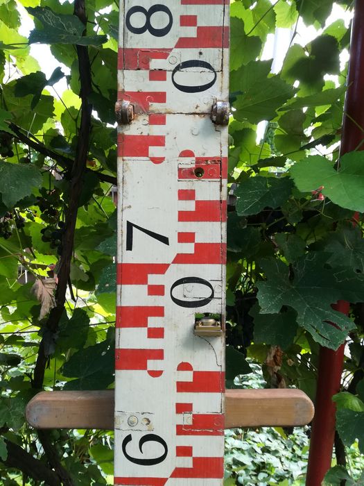 Miră (stadie) topografică vintage