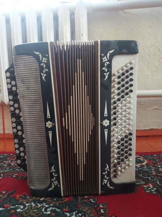 баян с футляром, только продажа!