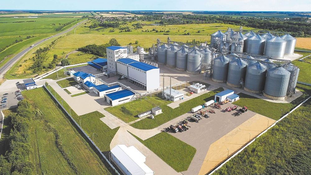 Готовый бизнес чорва паррандачилик ребхозларга корм