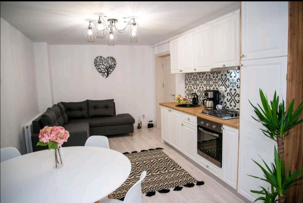 Cazare Targu Ocna  Apartament Daria