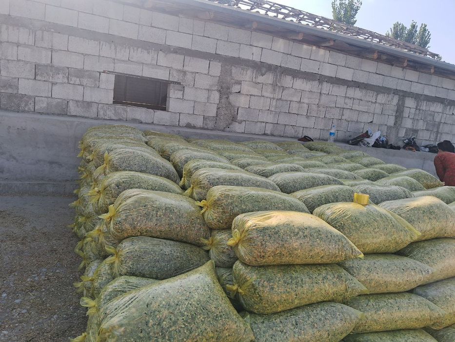 Silos donli va donsiz