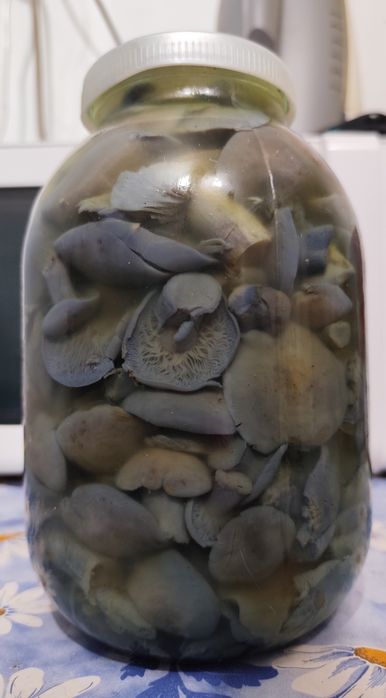 Продам грибы соленые