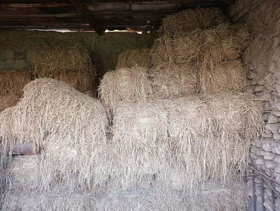 Хашак сотилади зангиота район