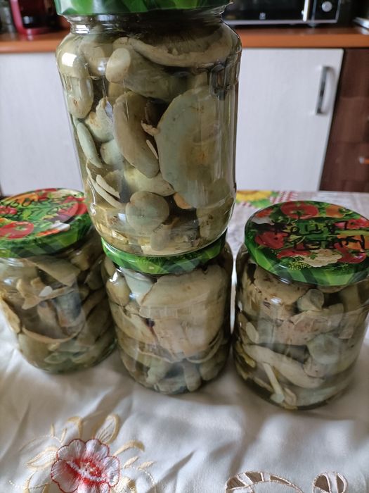 Bureți iuțari la oțet