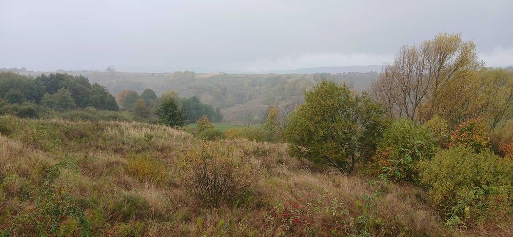 Teren Botosana vand