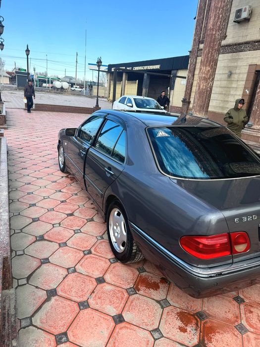 Мерседес лупарик