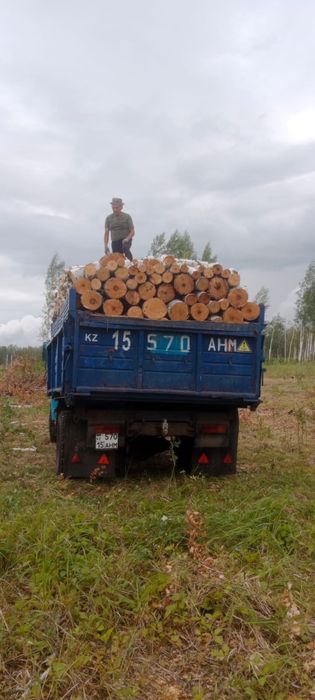 Продам дрова березовые швырок