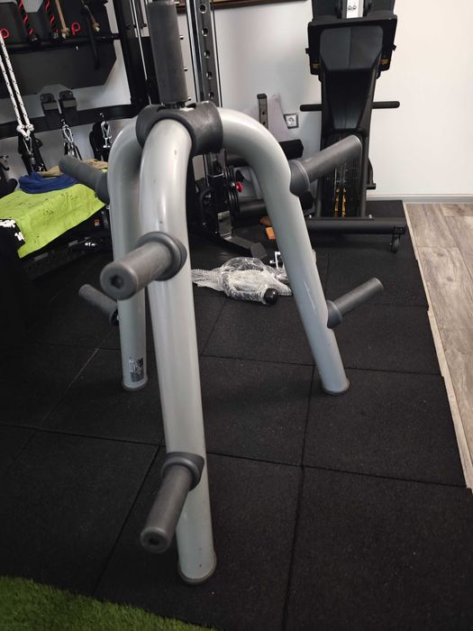 Стойка за дискове , Plate Rack Стойка за тежести Technogym Ф50