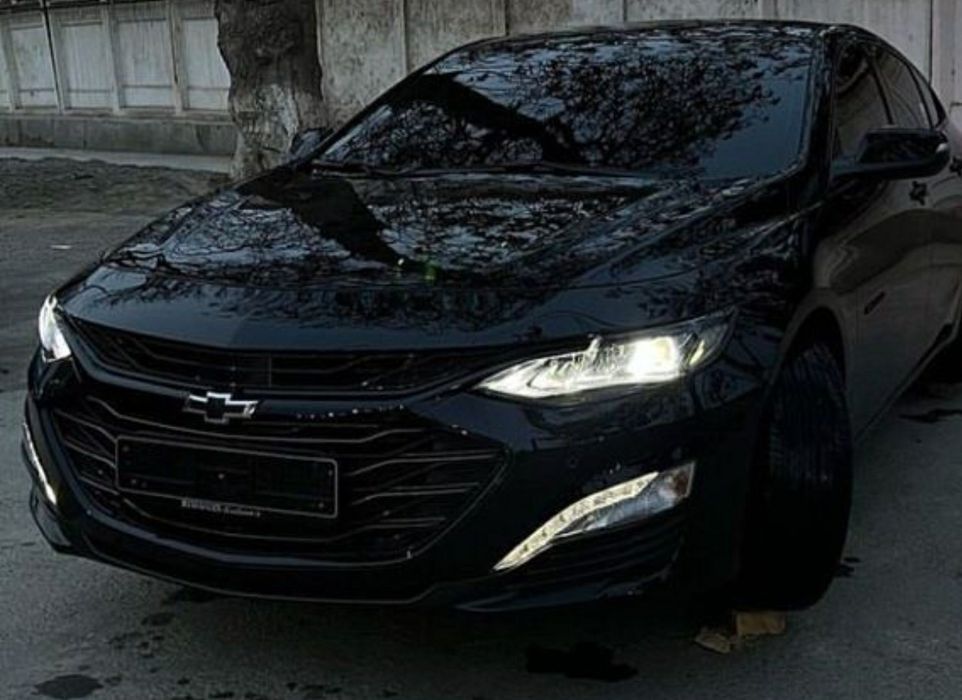 Avto kanisaner zaprafka