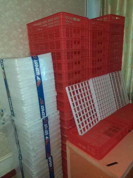 Лоток  с яшиком для инкубатора