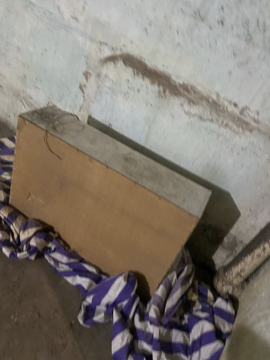 Отдам бесплатно