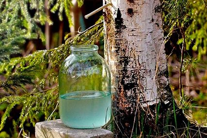 Продам Сок берёзовый