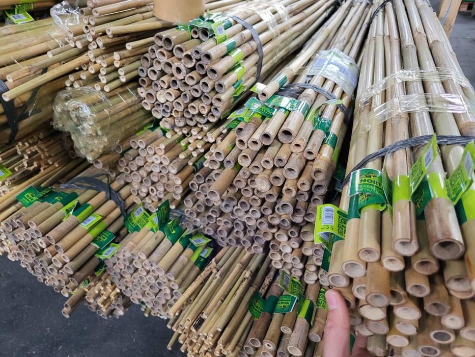 Колчета за укрепване на домати от БАМБУК - естествени