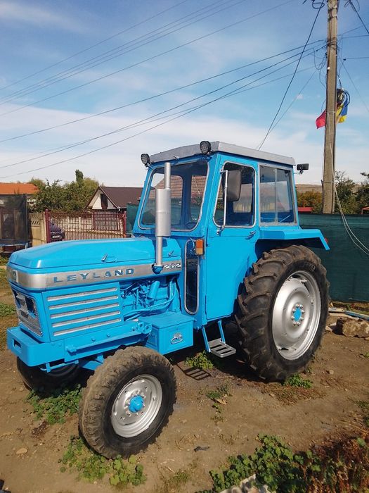 Vand sau schimb cu vaci ,vitei ,