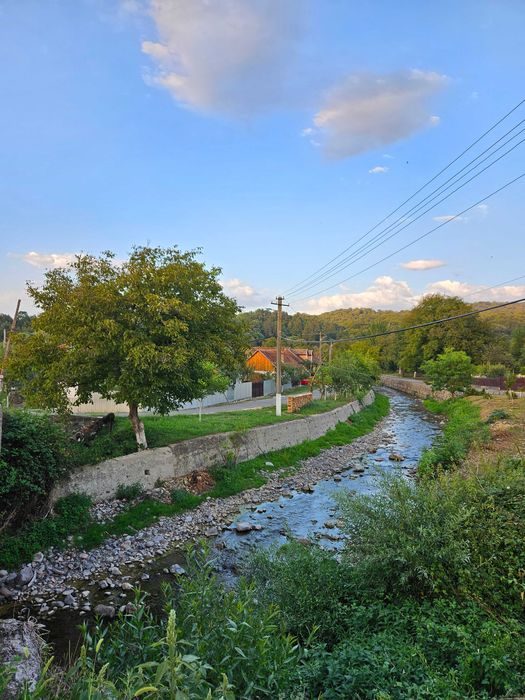 Casa ingrijita,locuibila,,zona linistita, acces  asfalt,gradina, pomi