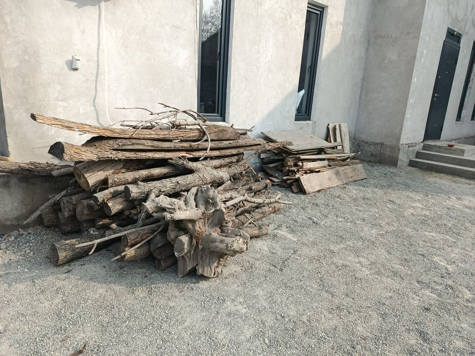 Утин сотилади. Рус дарахт