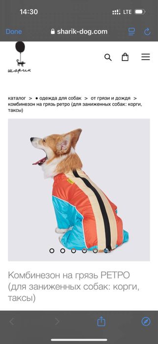 Комбинезон для собаки