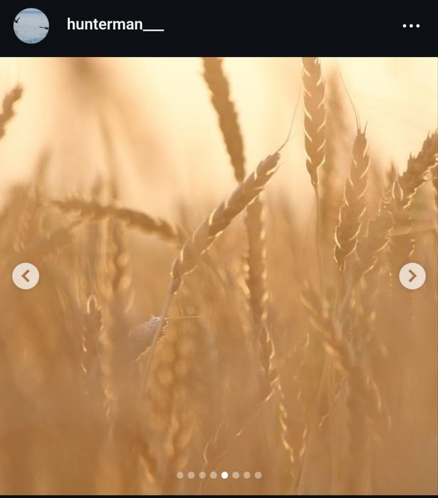 Canon 650 d + 70-300