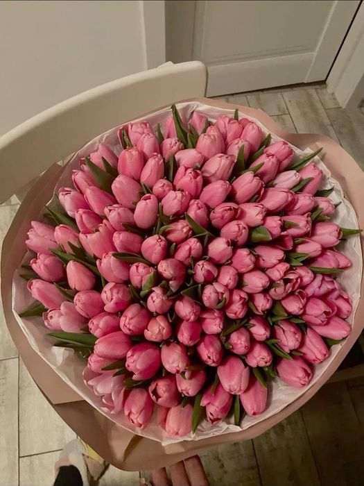 Тюльпаны свежие и хрустящие