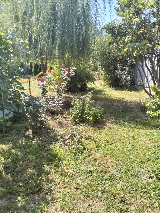 Продам дачу 6 соток