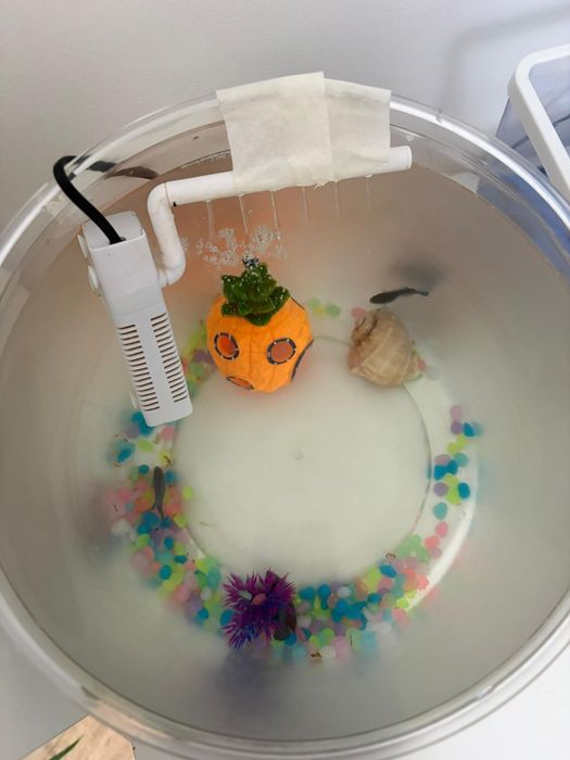 Продам аквариум 13 литров