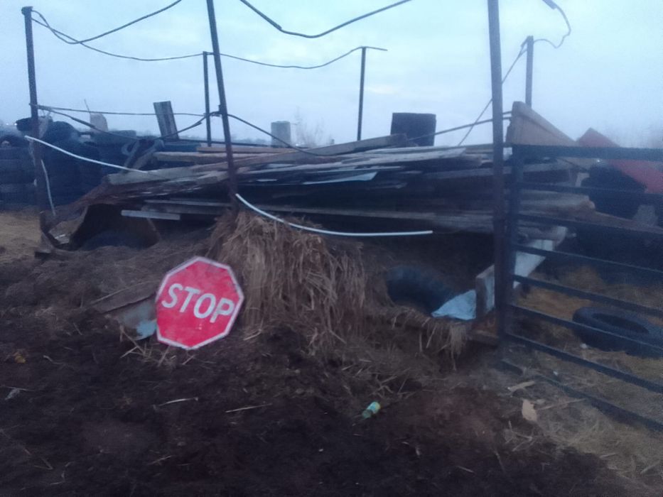 Продам телегу сеновозную