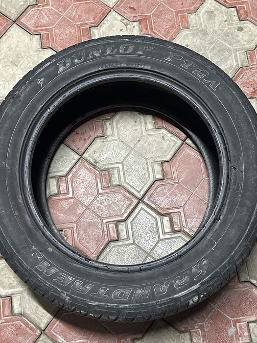 Шины Dunlop PT24