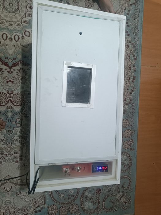 инкубатор яйца..