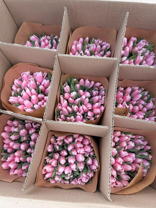 Тюльпаны в розницу от 550тг.