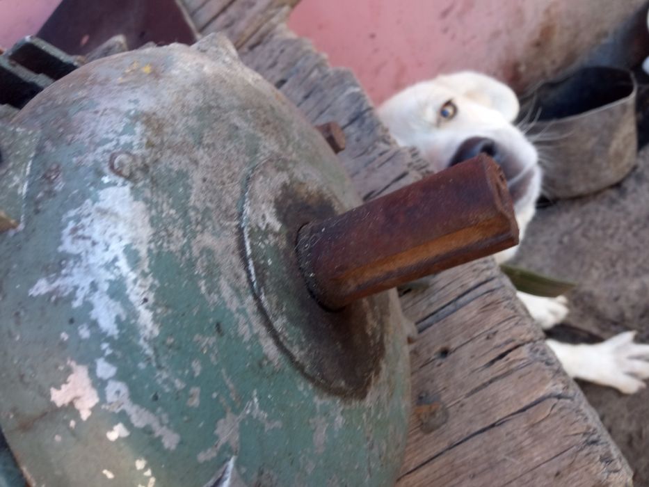 Двигатель трёх фазный