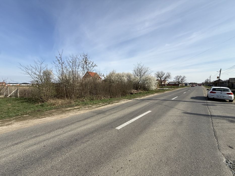 Vand Teren intravilan pt parcelare 86 Ari la intrare in Vetis