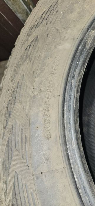 Продам шину на прадо