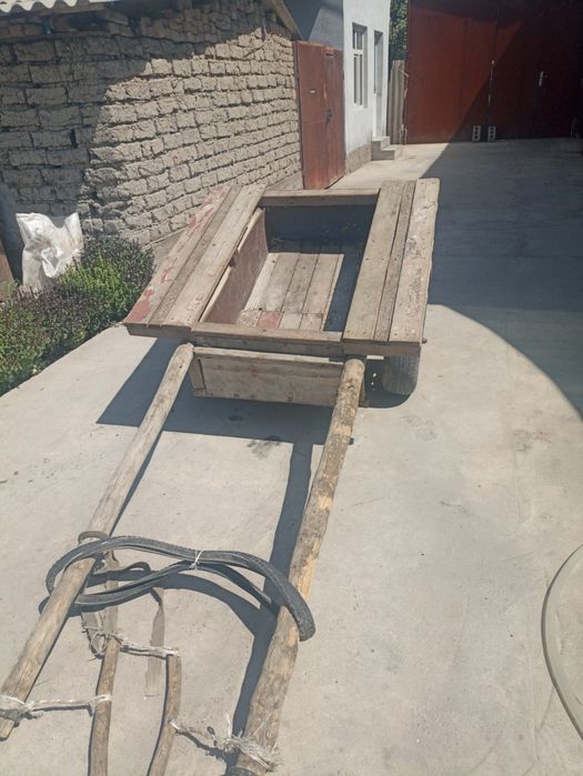 Eshak arava sotiladi Soglom kuchli erkak eshak sotiladi