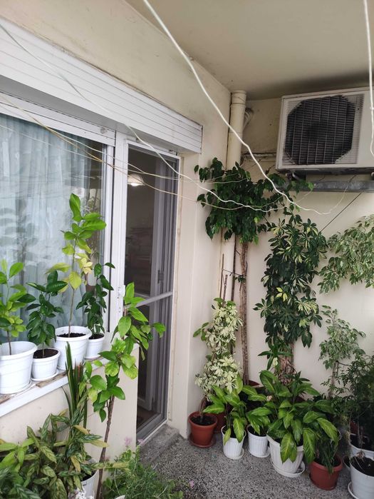 Продава се Тристаен апартамент в Габрово, Трендафил 1 - 74 кв.м за 793 €/кв.м - Снимка #14