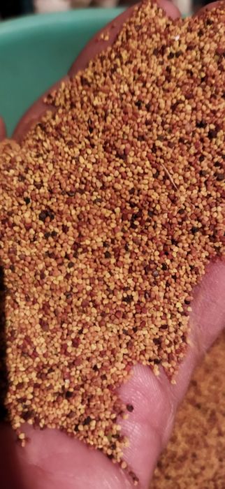 .Беда карлик.декор клевер.