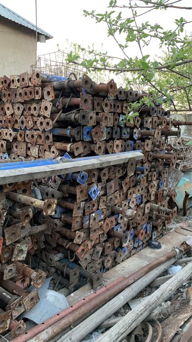 Струпцина данкрат