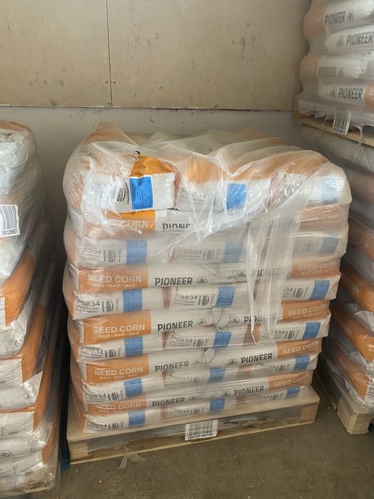 Samanta PIONEER | porumb | siloz | floare | NEOMA