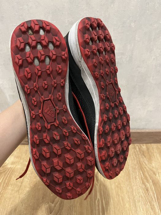 Сороконожки