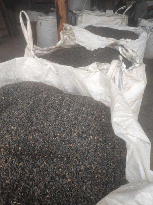 De Vânzare Floarea Soarelui